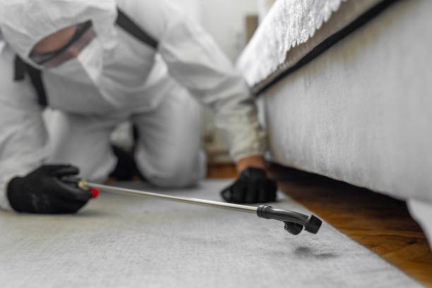 Professional Cockroach Control technician working in East Lake-Orient Park, FL