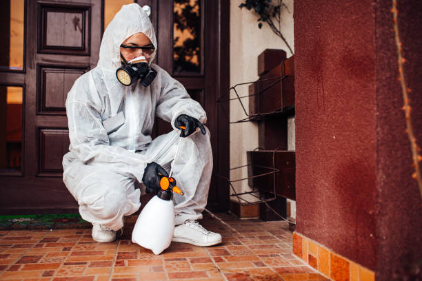 Reliable Cockroach Control contractor in East Lake-Orient Park, FL by Nex Pest Control